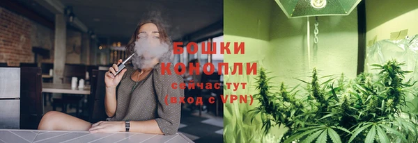 прущие грибы Арсеньев