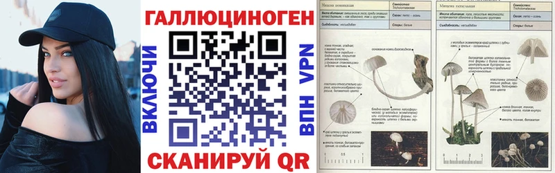 где купить наркоту  kraken ONION  Псилоцибиновые грибы Psilocybe  Соль-Илецк 