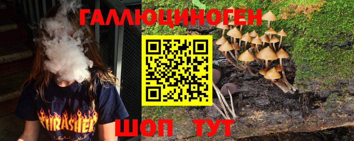 Соль-Илецк  Галлюциногенные грибы Psilocybine cubensis  Вход с VPN 